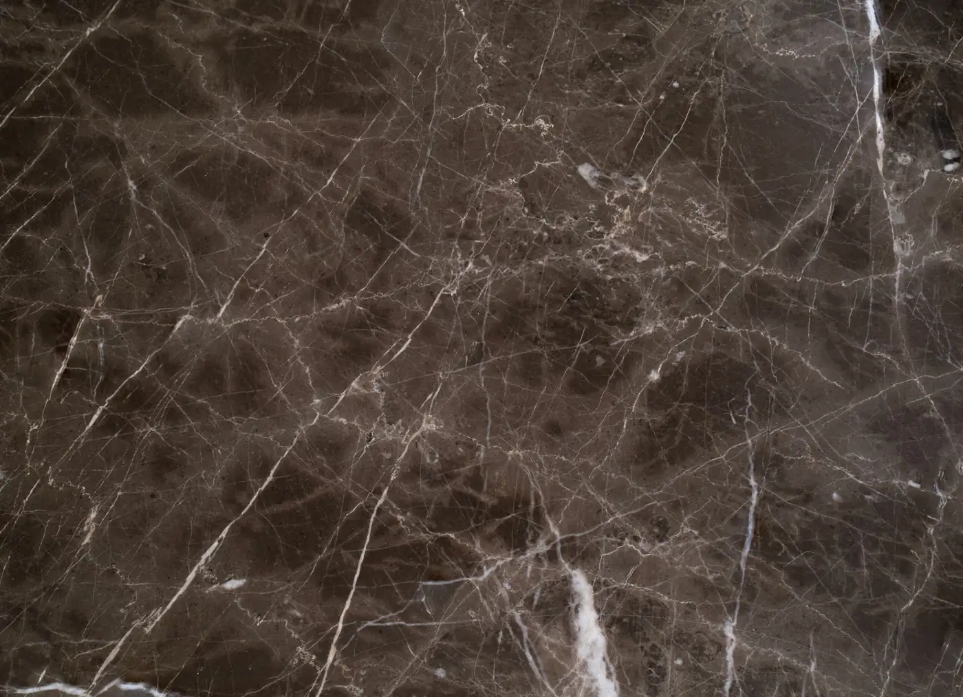 Polished dark marble slab with white veining